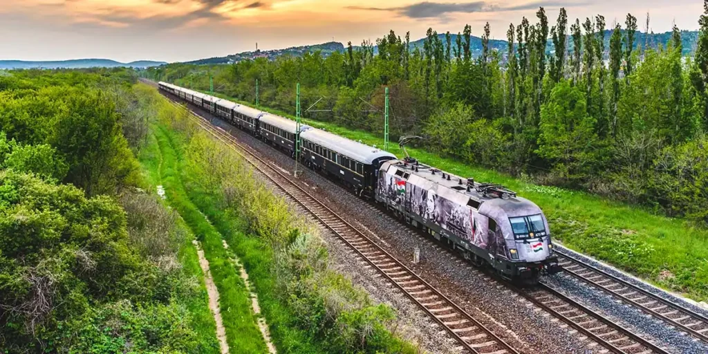 train in woods