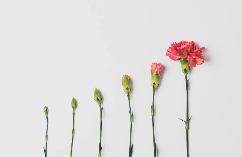 flowers growing status